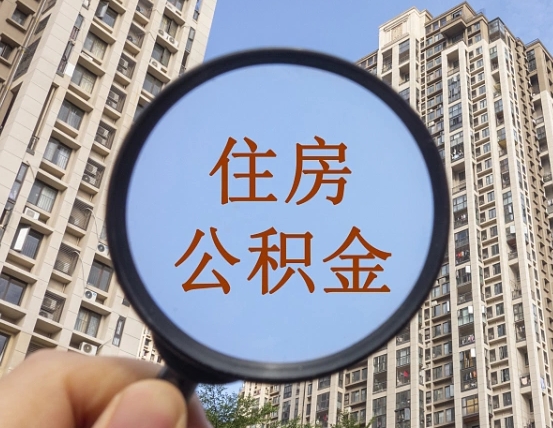 醴陵退休后查不到公积金明细了吗（退休后公积金查询不到原因）